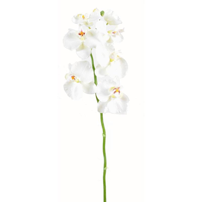 Phalaenopsis Artificielle Tige Medium*6