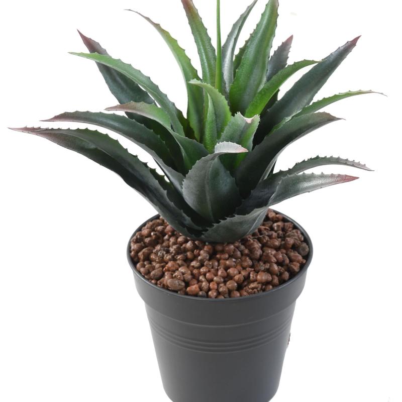 Furcraea Artificiel *21