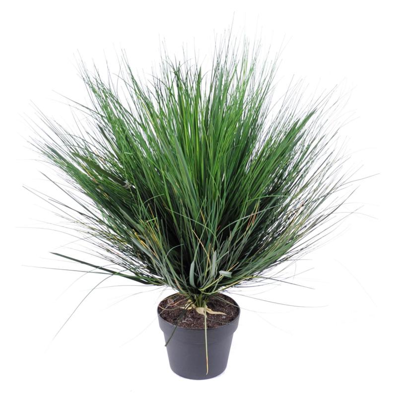 Onion Grass Artificiel Round