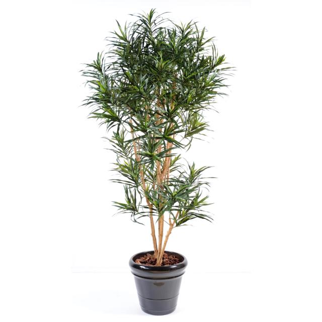 Dracaena Artificiel Anita Arbuste