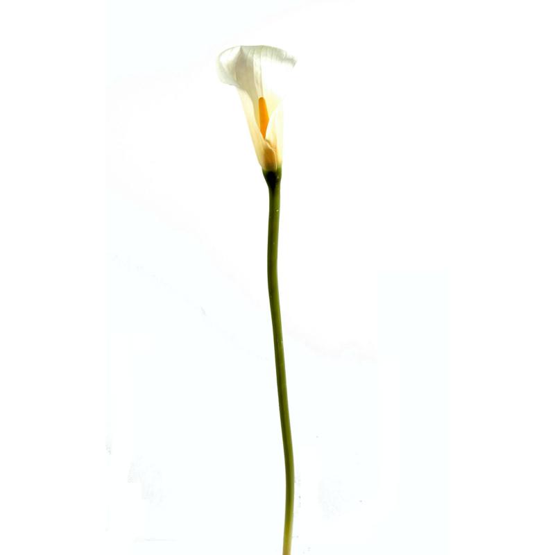Calla Artificielle Lily