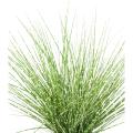 Miscanthus Artificiel Sinensis Zebrina