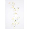 Phalaenopsis Artificielle Tige *10f