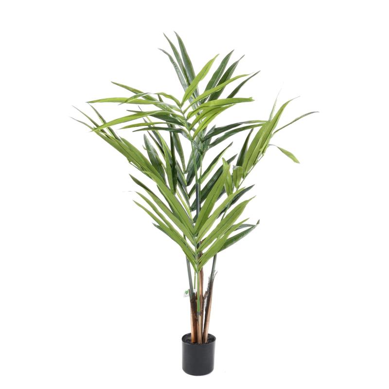 Kentia Artificiel