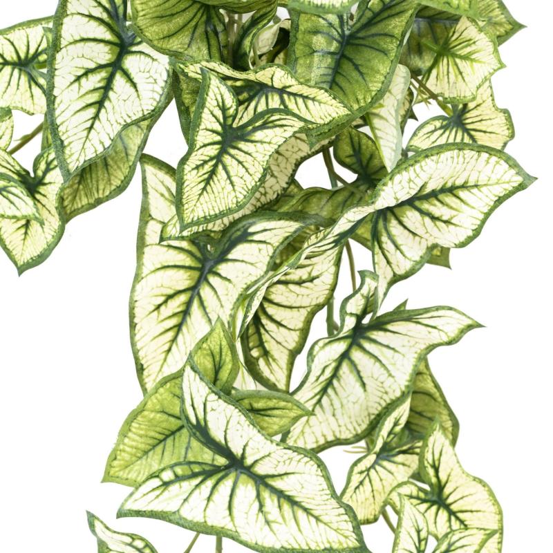 Syngonium Artificiel Chute 60