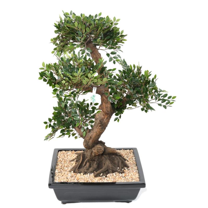 Bonsai Orme Artificiel en Coupe Gravier