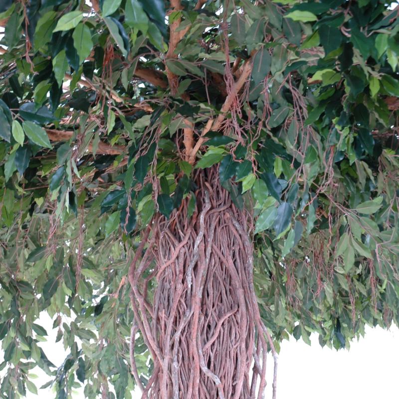 Ficus Artificiel Lianes Umbrella