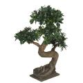 Bonsai Euonymus Japonicus Ficus Artificiel