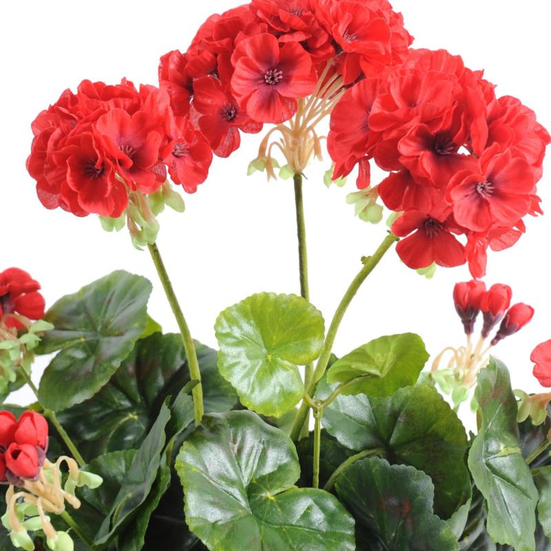 Geranium Artificiel *52