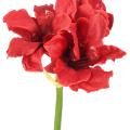 Amaryllis Artificielle 2fl 1bt