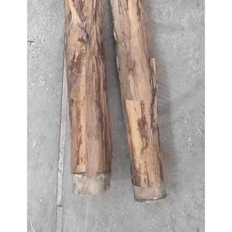 Bananier Artificiel Geant *2