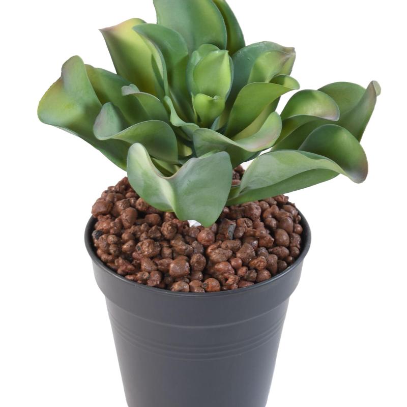 Succulente Artificielle 20