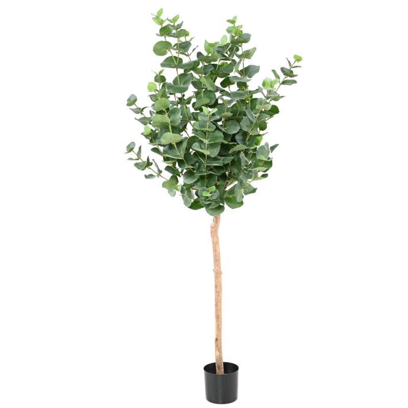 Eucalyptus Artificiel Gunnii Tige