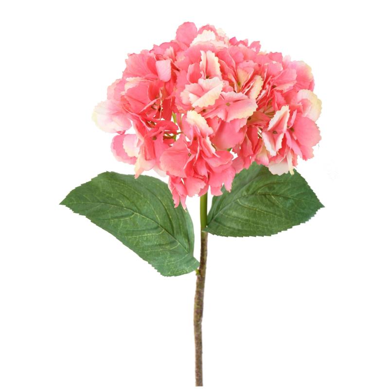 Hortensia Artificiel