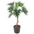 Philodendron Artificiel Selloum T