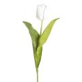 Tulipe Artificielle Parrot