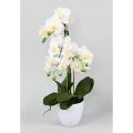 Phalaenopsis Artificielle Pot*3