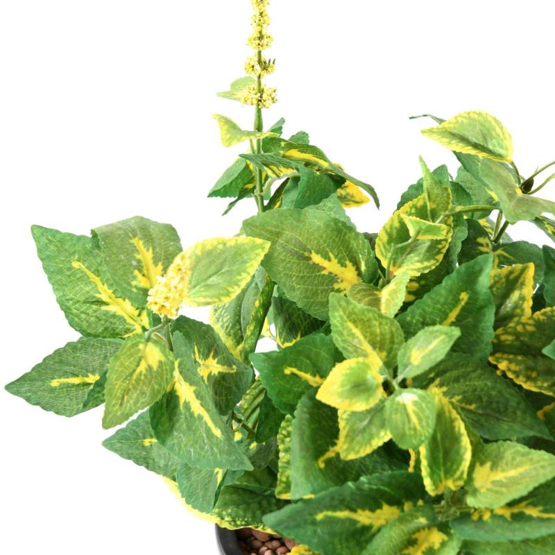 Coleus J *11 Artificiel