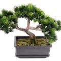 Bonsai Artificiel Pin Mini