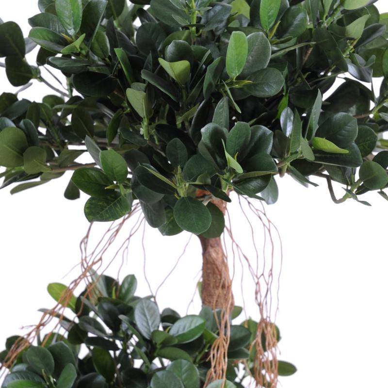 Ficus Artificiel Panda NEW