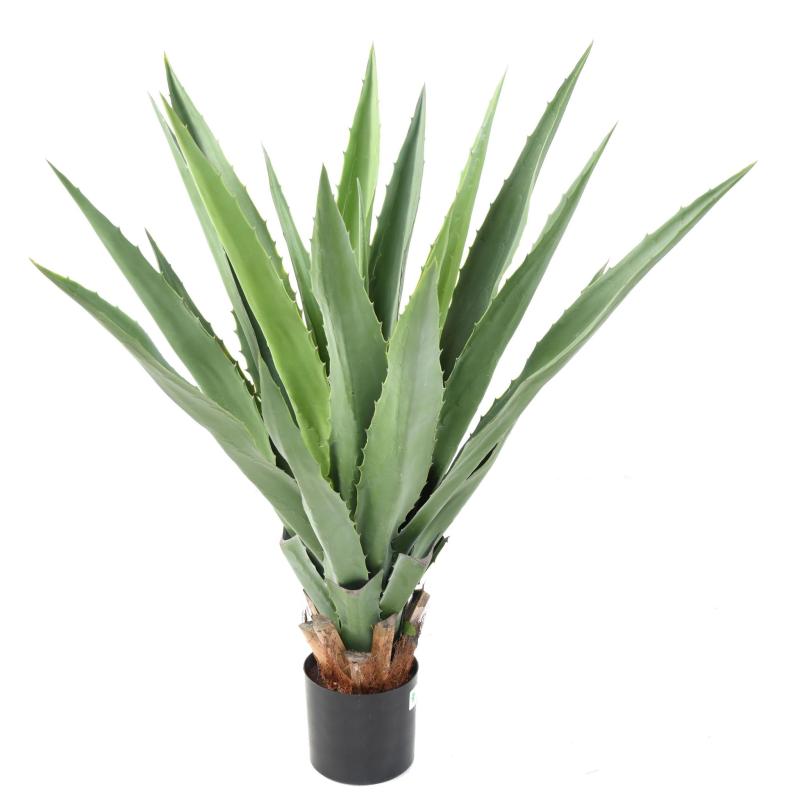 Agave Artificielle Furcraea