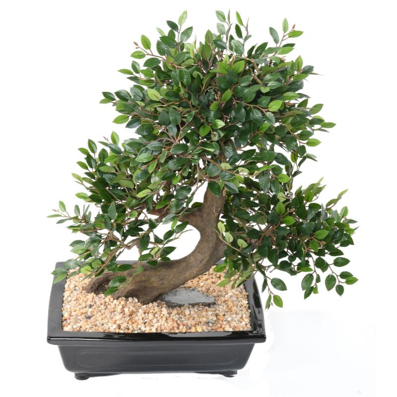 Bonsai Orme Artificiel en Coupe Gravier