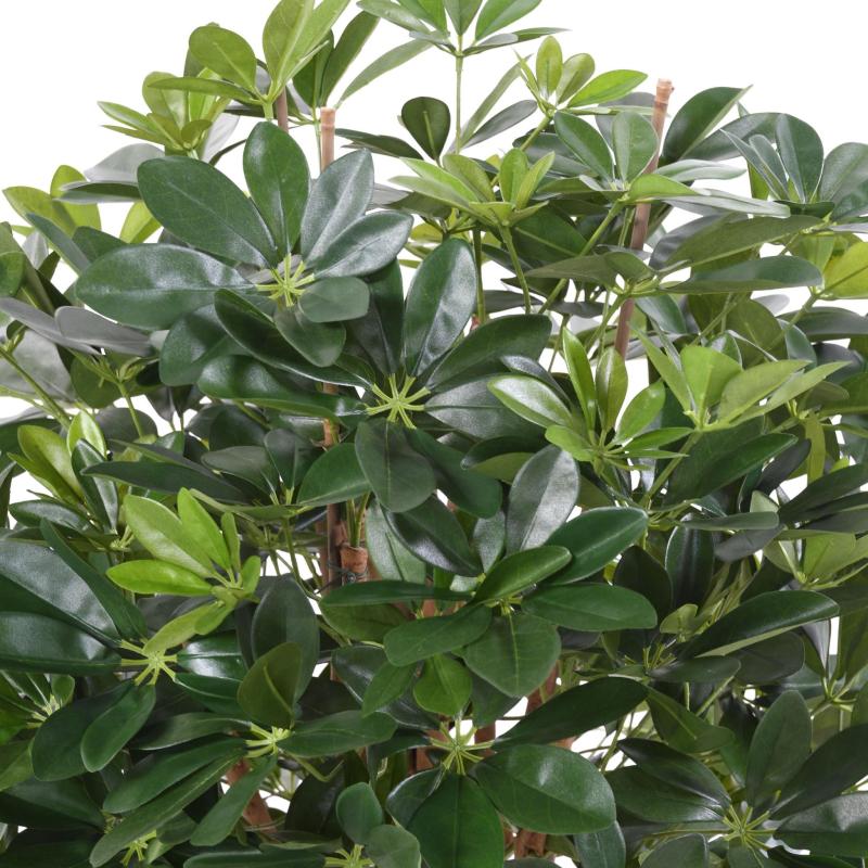 Schefflera Artificiel