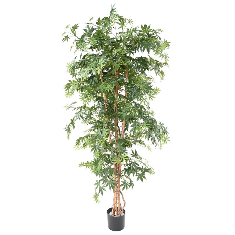 Aralia Artificiel NEW (erable)