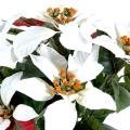 Poinsettia Artificiel 9 Fleurs Crème