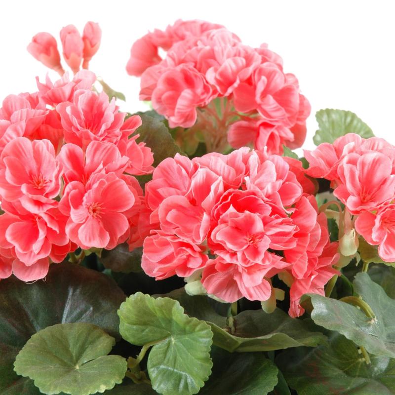 Geranium Artificiel*115