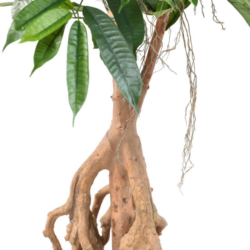 Ficus Artificiel Root Longifolia