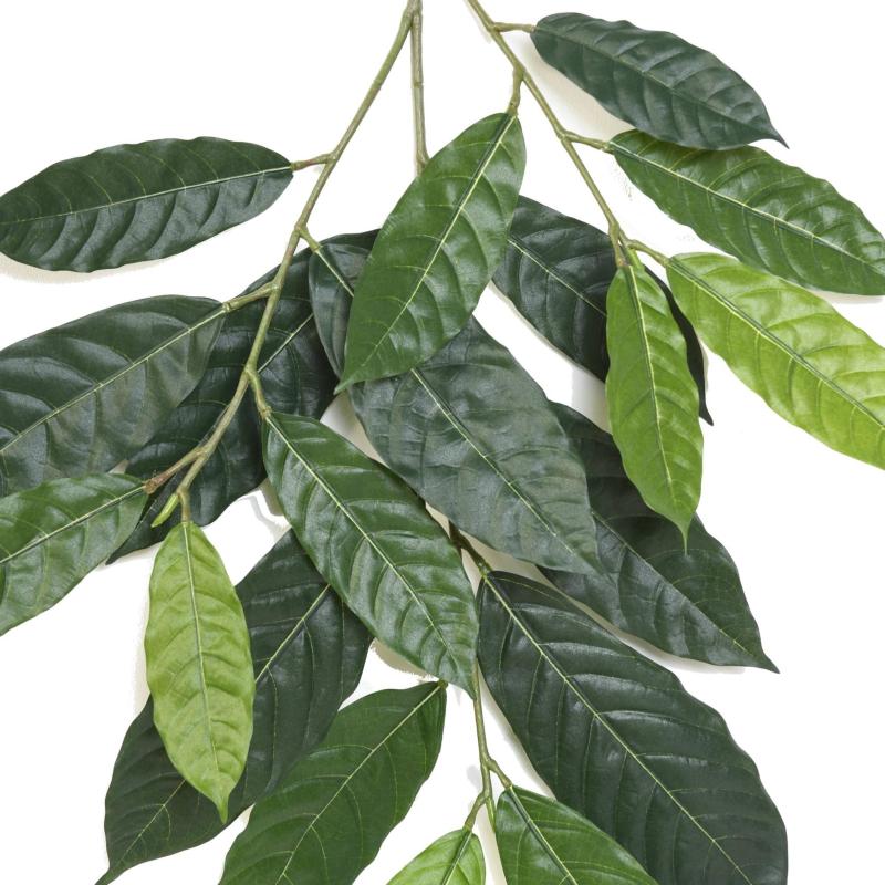 Cacao Artificiel SPRAY