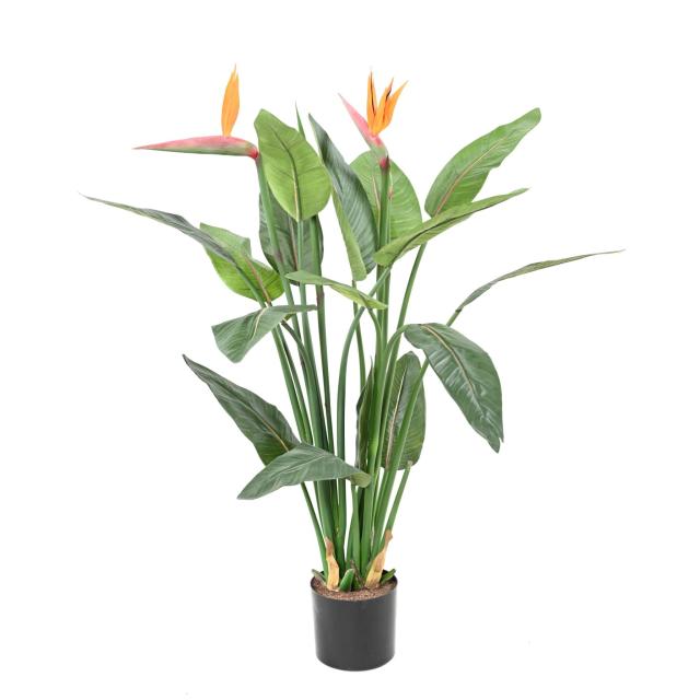 Strelitzia Artificiel 2fl 1bt