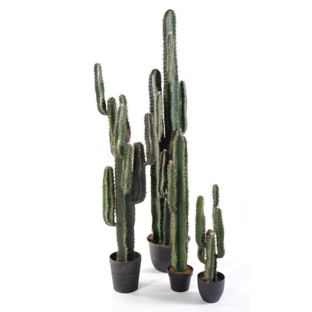 Cactus Artificiel Finger 1