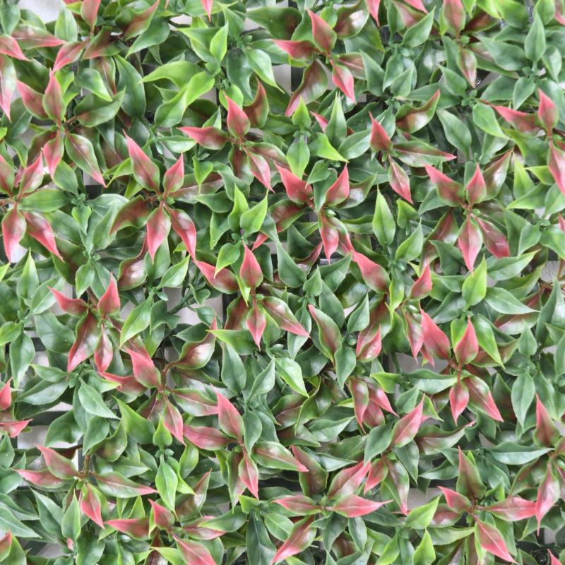 Ruscus Plaque