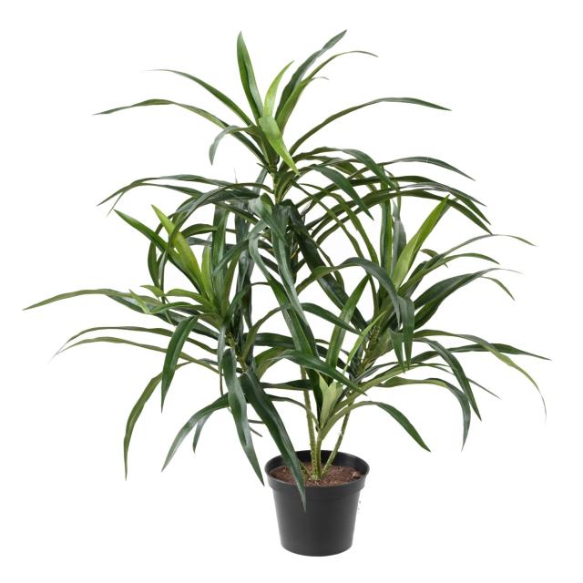 Dracaena Artificiel Anita Pot