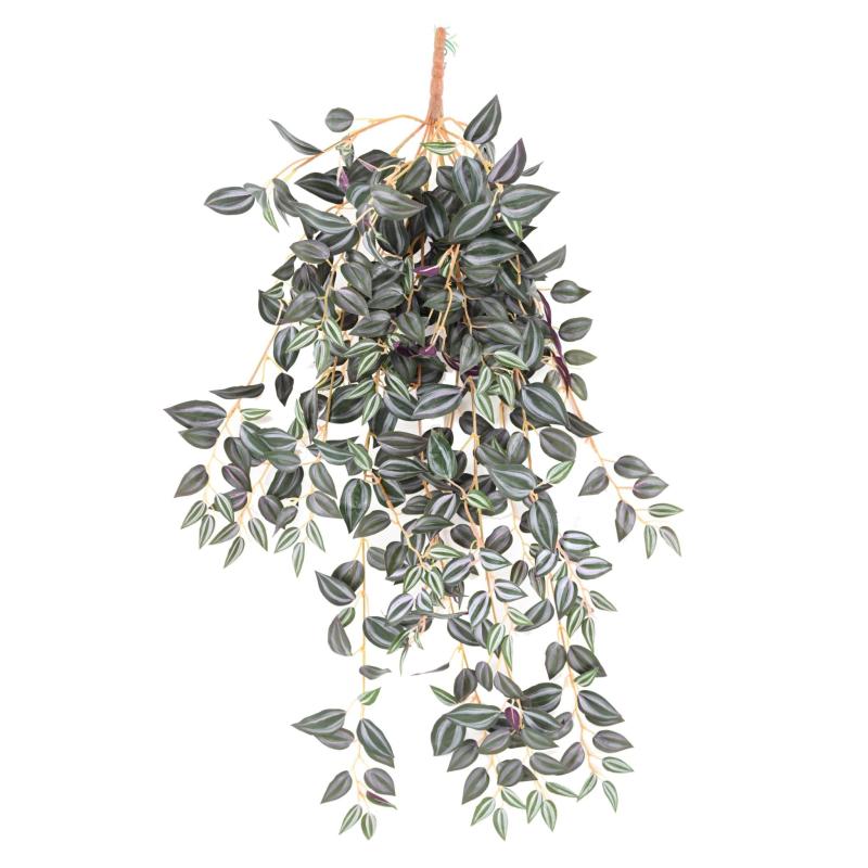 Tradescantia Artificiel 70