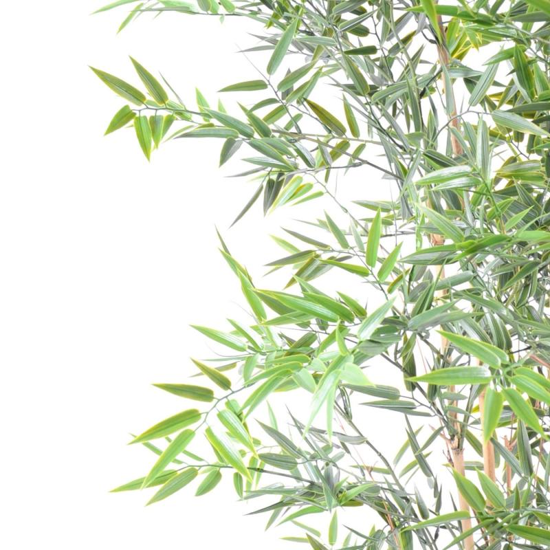 Bambou Japanese PLAST UV