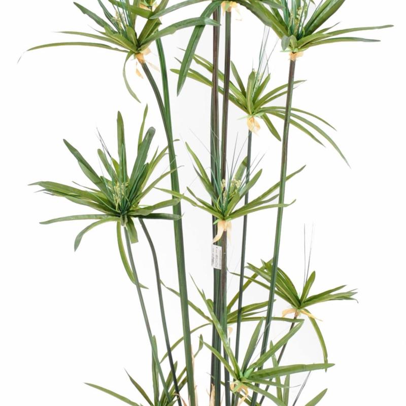 Papyrus Artificiel Alternifolius