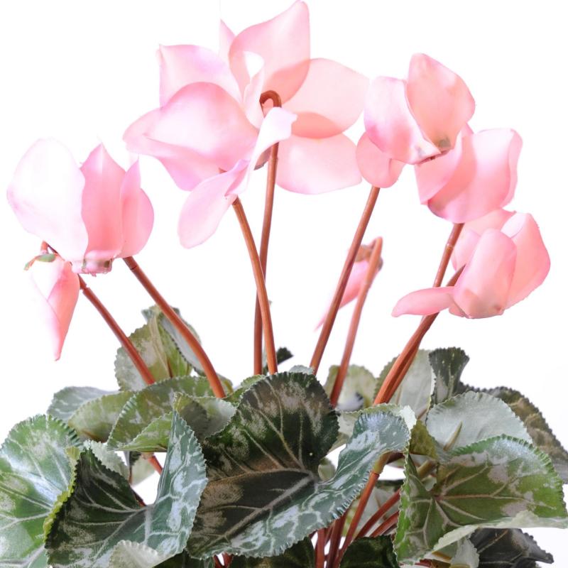 Cyclamen Artificiel *8