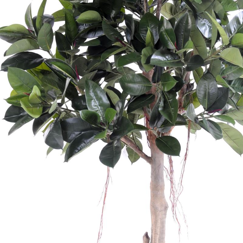 Rubber Plant TREE Artificiel