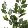 Ficus Artificiel Exotica Spray*101