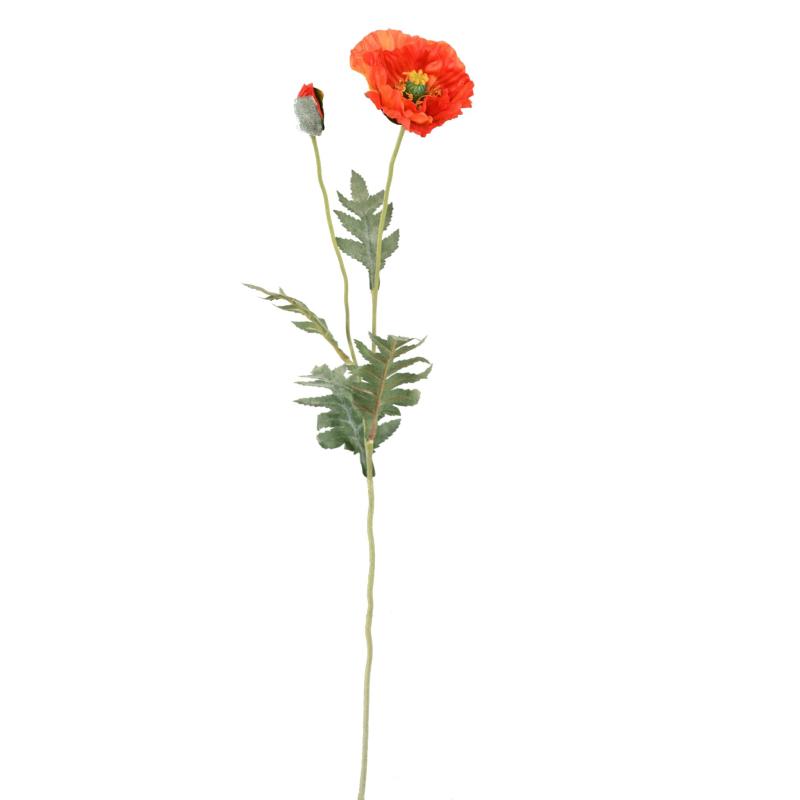 Pavot Artificiel 72