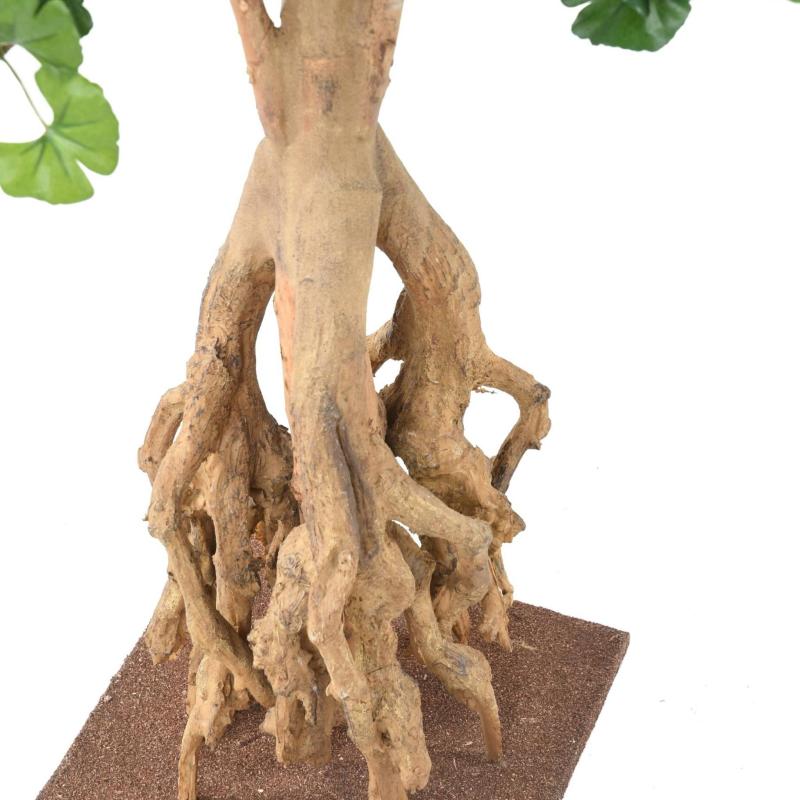 Ginkgobiloba Artificiel Root