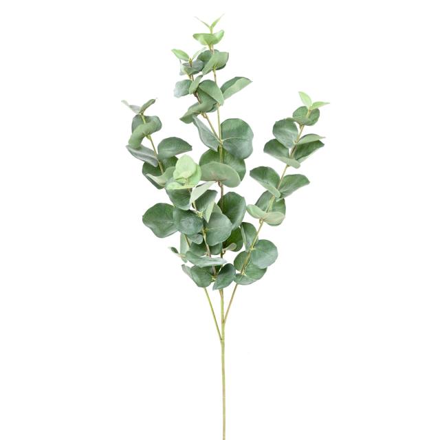 Eucalyptus Artificiel Gunnii SPRAY