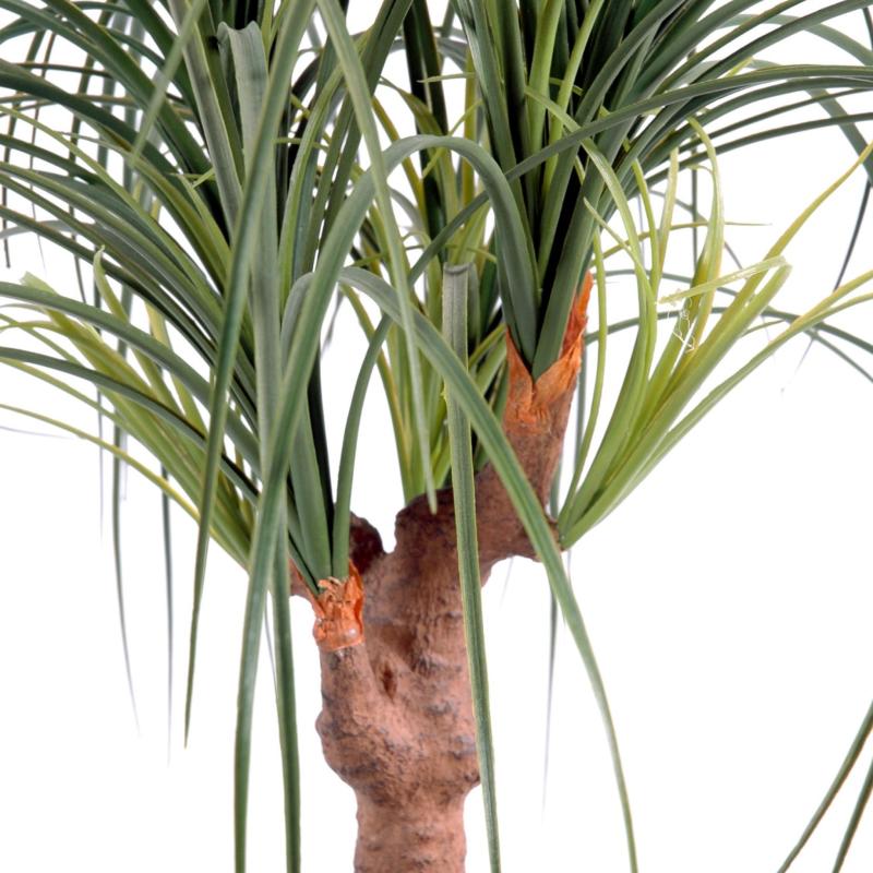 Beaucarnea Artificiel