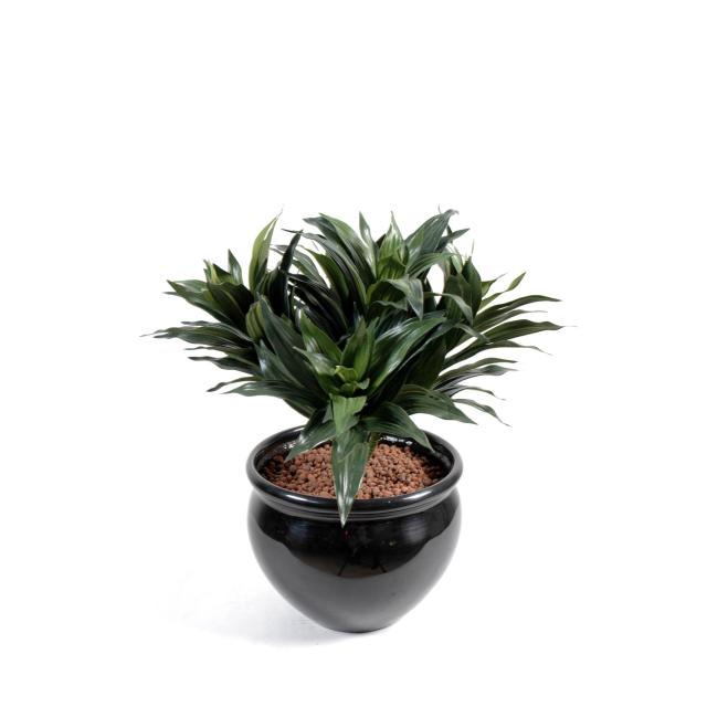 Dracaena Artificiel Fragans Mini en Piquet