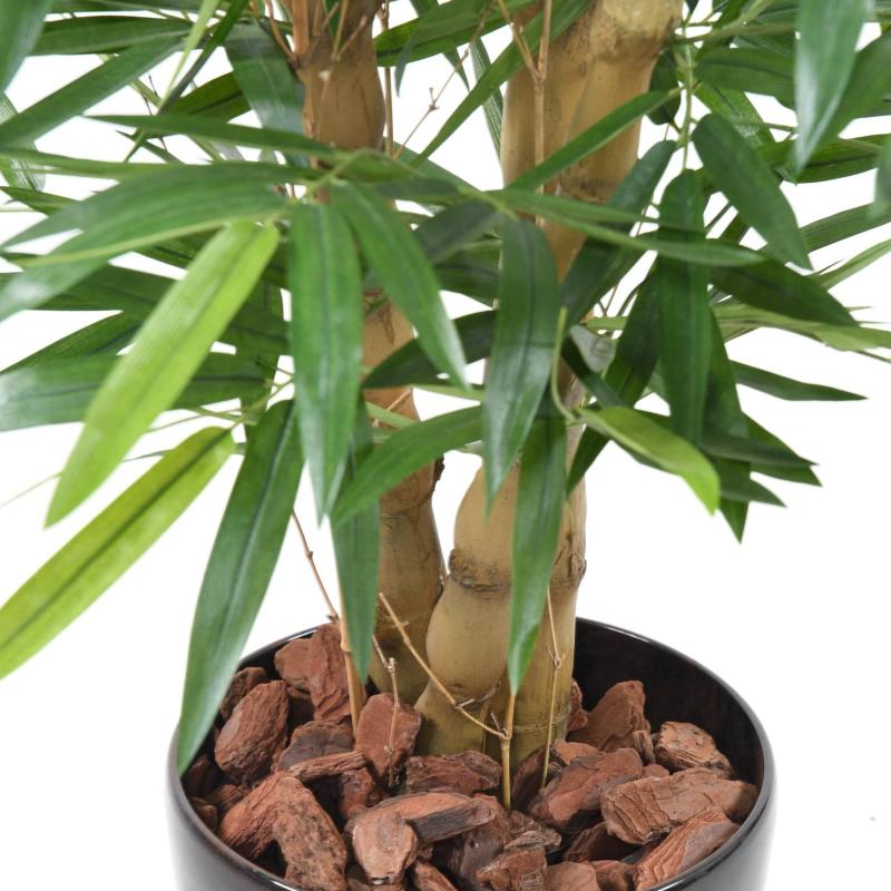 Bambou Buddha TREE