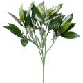 Laurier Nobilis Artificiel NEW SPRAY UV