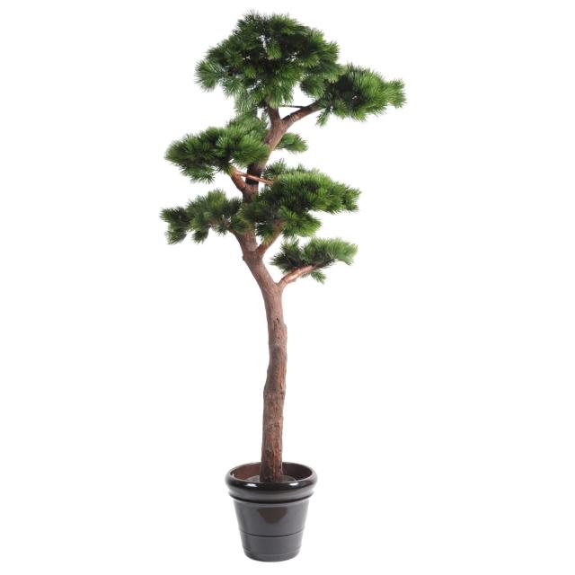 Pin Artificiel Bonsai UV